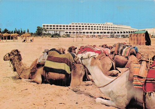 Tunisie hammamet hotel - hammamet,