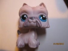 PETSHOP CHIEN WESTIE N°1201