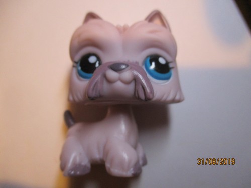 Petshop chien westie 1201 - petshop,