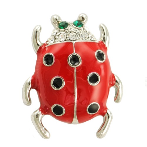 Red ladybug black animal - red,