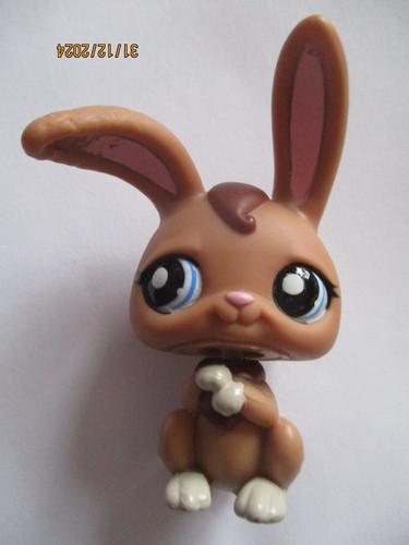 Petshop lapin garenne - petshop, de
