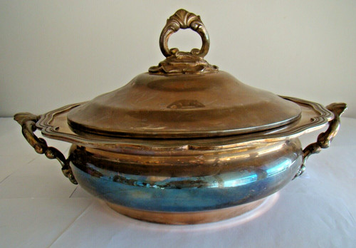 Légumier grande qualité - légumier, de