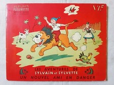 Album n°13 Sylvain et