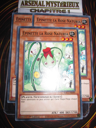 Playset - (lot, de