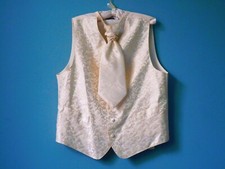 Gilet de costume + lavallière