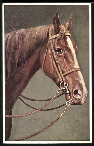 Carte postale portrait