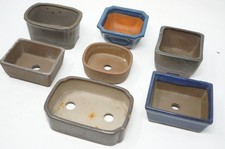 Pot d'arbre bonsaï japonais