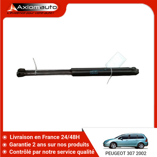 Verin hayon g peugeot - verin,