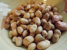 Sophie Peanut - 5+ graines - héritage - FINE RARETÉ ! H 051