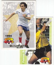 FOOT CARDS 1994 ligue 1 panini official football 1 carte no sticker championnat 