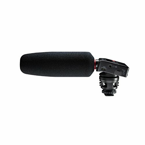 Enregistreur audio monté sur