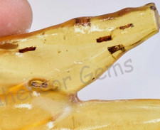 50.90 CT Naturel Tanzanie