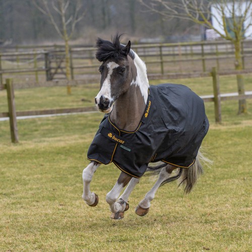 Bucas irish turnout - light, 50g