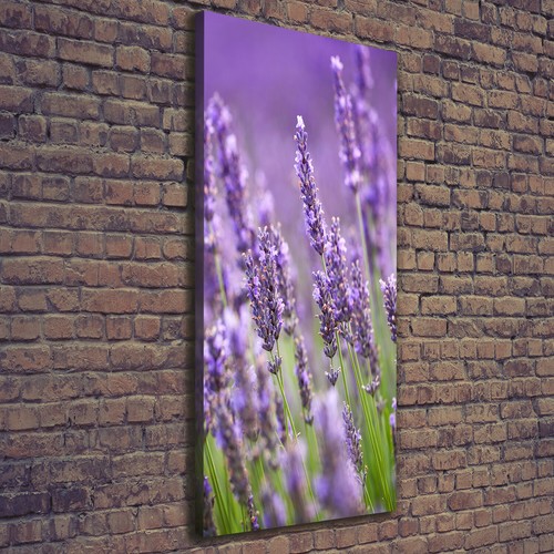 Tulup tableau sur toile image - tulup,