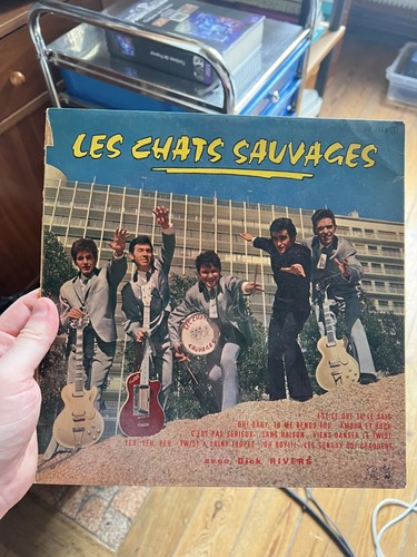 Disque vinyle les chats - vinyle,