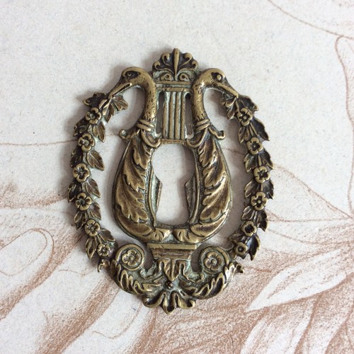 Entrée serrure cygne - entrée,