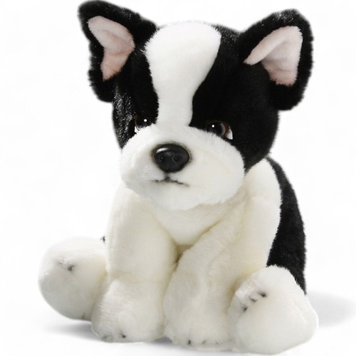 Carl dick bouledogue français - carl,