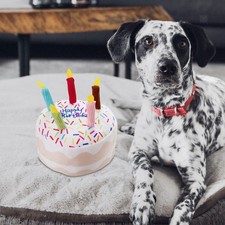 Jouet en peluche pour chien