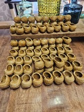 76 Coquilles D'escargots En