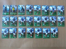 SERIE COMPLETE DE 23 MAGNETS FOOTBALL  WORLD CUP 2010 CARREFOUR EQUIPE DE FRANCE