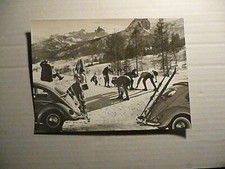 photo de presse scarabée en