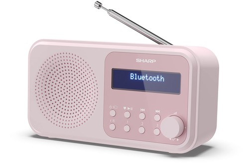 P420 radio numérique - (pk),
