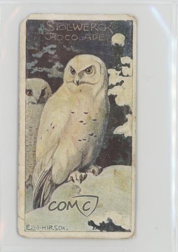 1905 stollwerck chocolates - 1905,
