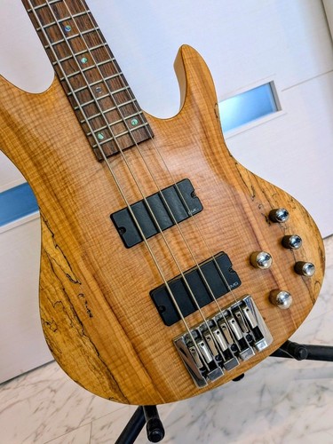 Esp ltd 404sm rare - b-404sm, modèle