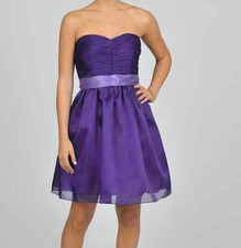 Oleg Cassini Purple Strapless Party Dress Sz 2 New