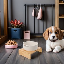  Gamelle Pour Animaux À