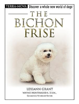 The bichon frise - frise, (terra-nova)