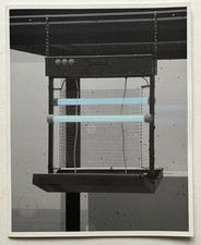 DAMIEN HIRST  -Grand Carton d invitation - 2006