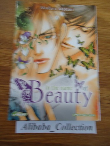 Manga the name of - in,