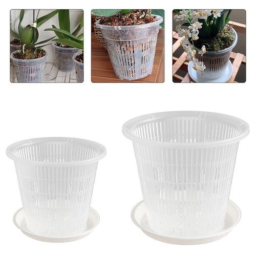 Pot fleurs transparent - pot,