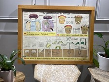 Carte Affiche Scolaire MDI 