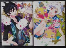 Lot de 1 à 2 bandes