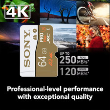 Carte Mémoire Micro sd Sony 2