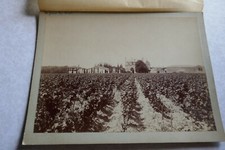 Château GRAND PUY LACOSTE  VIN grand CRU photographie ancienne projet étiquette