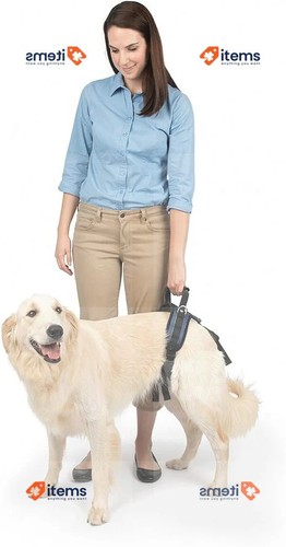 Petsafe harnais dossier - harnais,