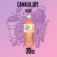 Bouteille Soda Canada Dry