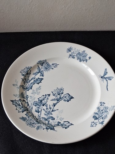 Ancien plat rond faience de - ancien,
