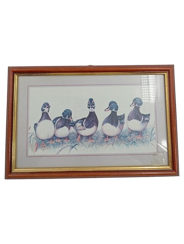 Image canards bleu - canards,