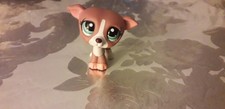 Figurine Littlest Petshop Dog 2006 C-031 Authentic LPS Chien Rare 