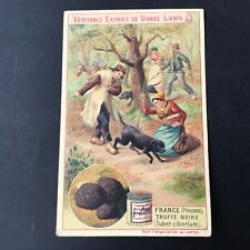 CHROMO LIEBIG Ancien LA TRUFFE