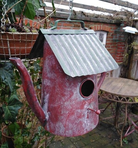 Nichoir pot cafetière - pot, oiseau