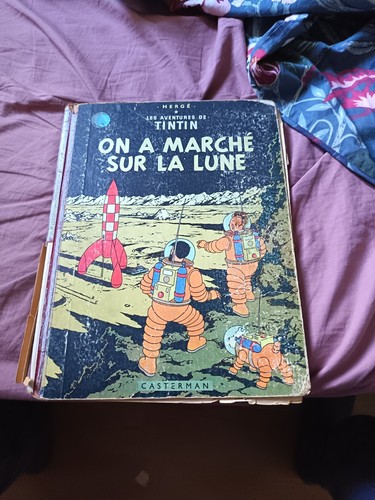 Tintin marché sur - :, la