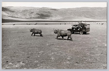 1962 Hatari tournage Film John Wayne Photo Vintage Lynx Actor on stage Foto Ciné