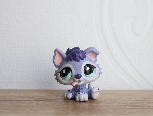 Littlest petshop husky - littlest,