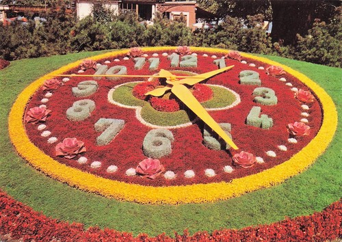 Suisse geneve horloge - geneve,