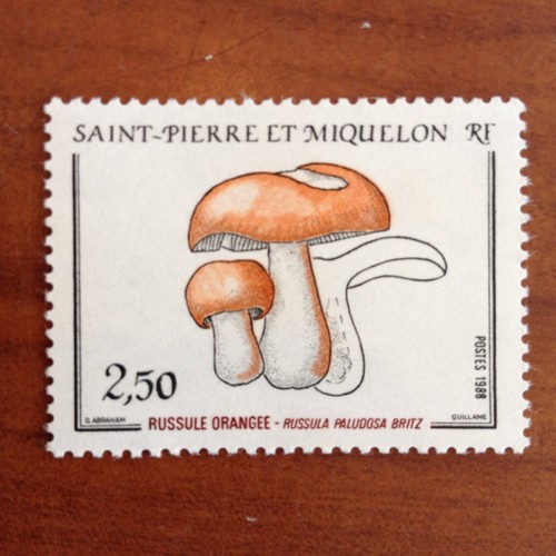 Saint pierre miquelon 486 - et,